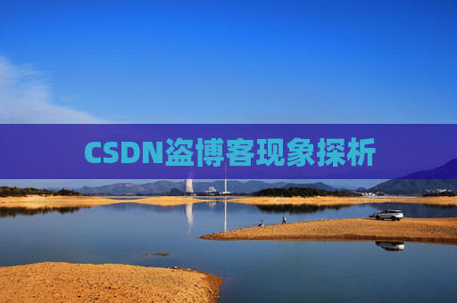 CSDN盗博客现象探析 CSDN盗博客现象探析
